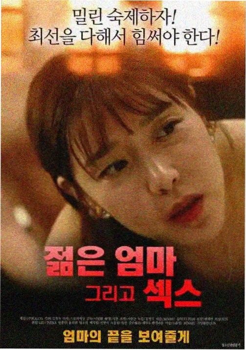 了了小说《夜航灯塔》封面