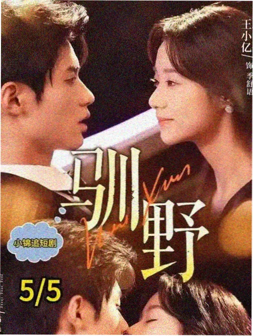 了了小说完本《万顷星河》封面